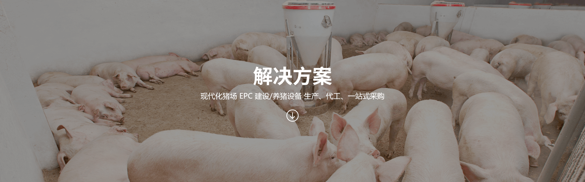 飼喂系統