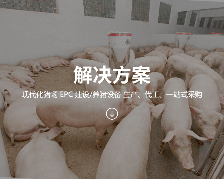 飼喂系統