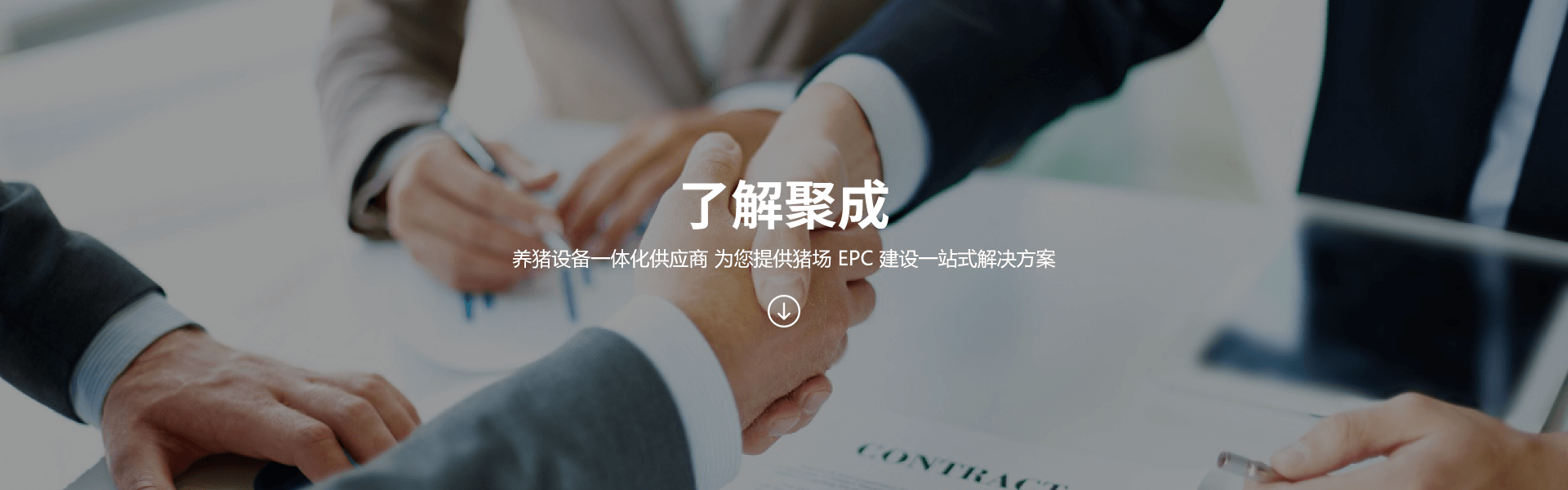 公司簡介