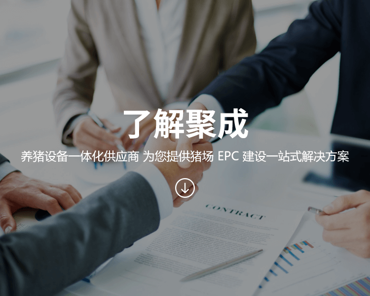 公司簡介